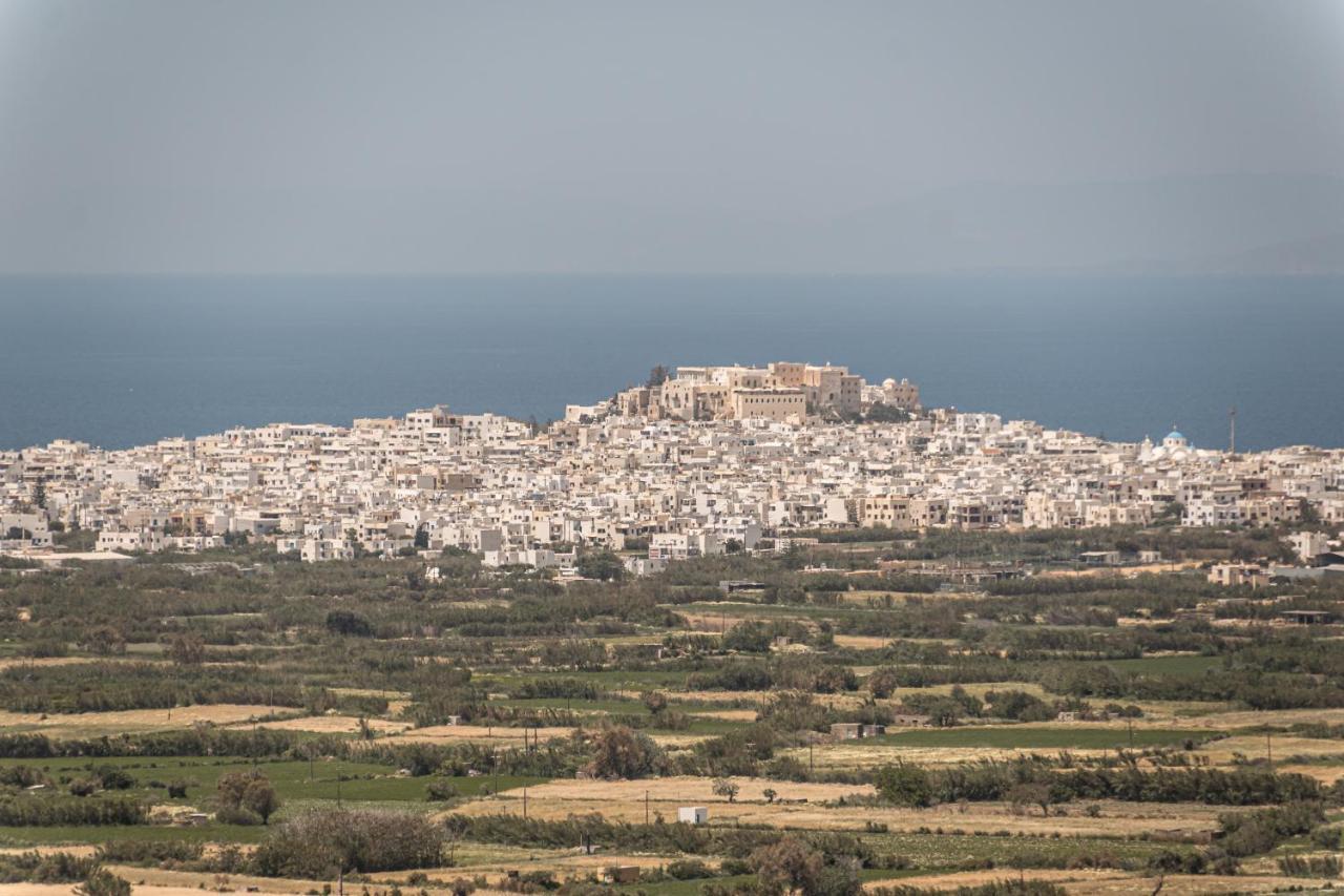Glinado Naxos Villa Argo מראה חיצוני תמונה